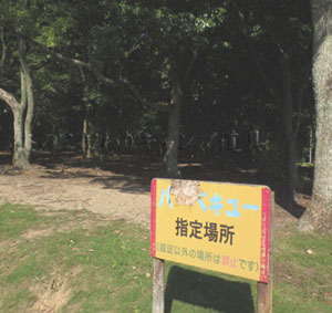 大阪の無料でBBQができる公園「大泉緑地」